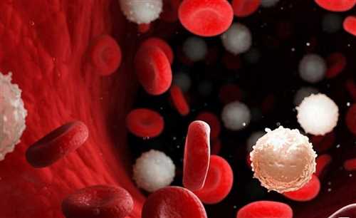 انواع سرطان خون و و راههای درمان آن را بشناسید