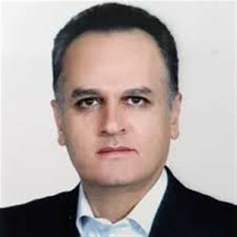دکتر محمد فیضی